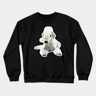 Bedlington Terrier Crewneck Sweatshirt